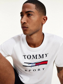 Футболки и поло Tommy Hilfiger модель S20S200586-YBR Фото