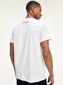 Футболки і поло Tommy Hilfiger модель S20S200586-YBR Фото