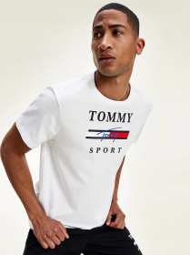 Футболки і поло Tommy Hilfiger модель S20S200586-YBR Фото