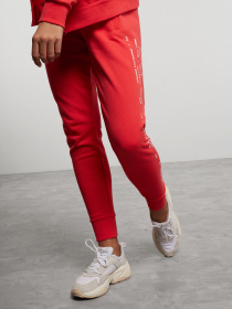 Штаны спортивные Armani Exchange модель 3HYP85-YJ89Z-1476 Фото