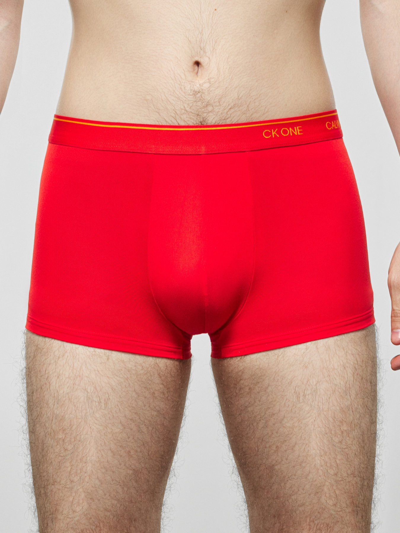 Труси Calvin Klein Underwear модель NB2225A_7FK_0041 Фото