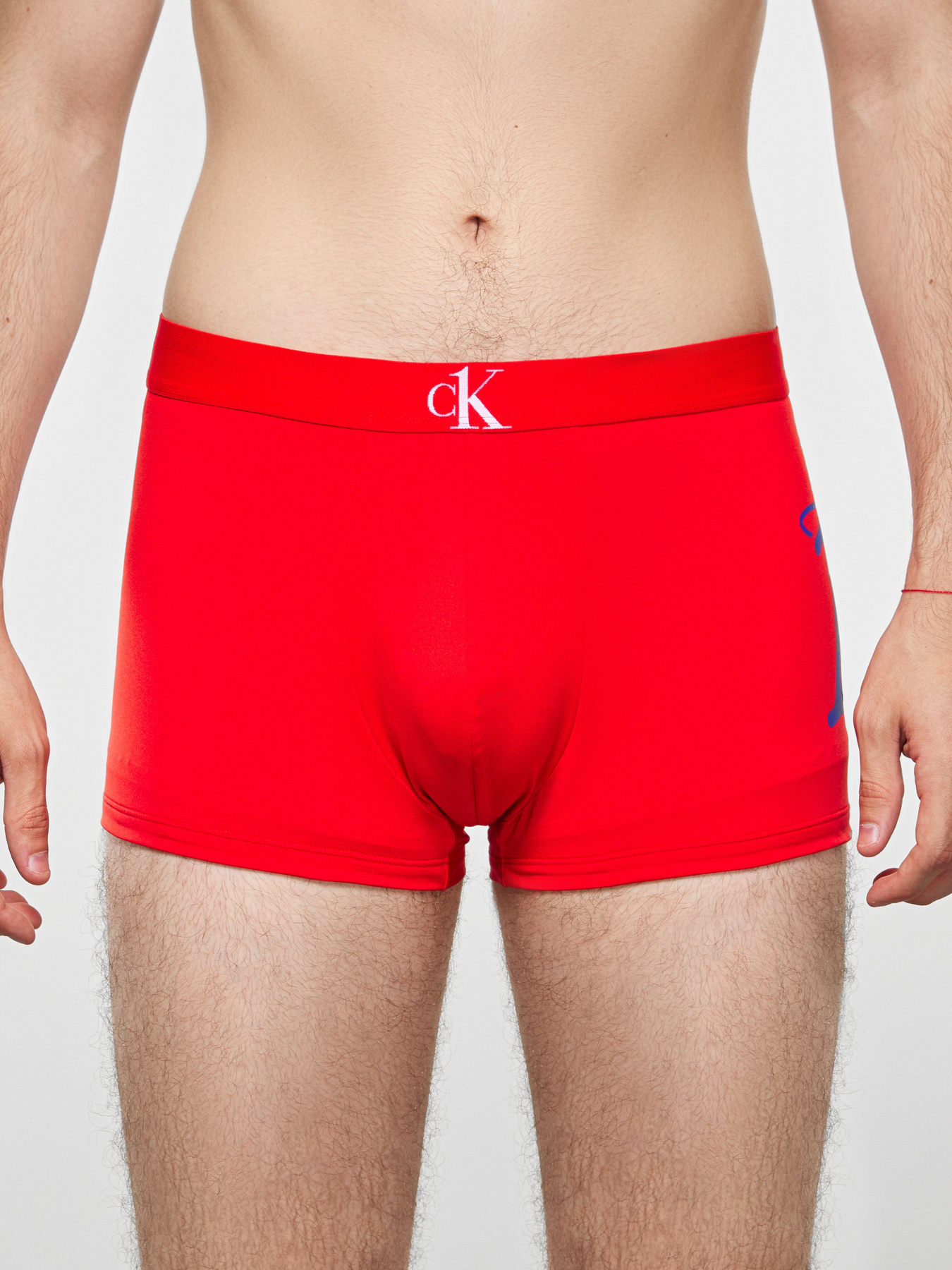 Трусы Calvin Klein Jeans модель NB2353A_7FK_0041 Фото