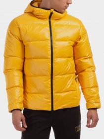 Пуховик EA7 модель 6HPB53-PNR4Z-1603 Фото