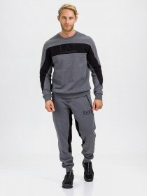 Світшот EA7 модель 6HPM84-PJ07Z-3925 Фото