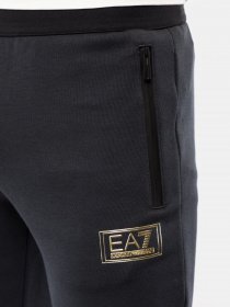 Спортивні штани EA7 модель 6HPP83-PJF3Z-1578 Фото