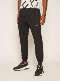 Штаны спортивные EA7 модель 6HPP92-PJG1Z-1200 Фото