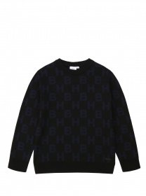 Свитшот Boss модель J25G61/09B Фото