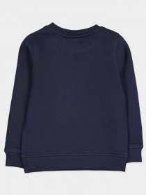 Свитшот Boss модель J25G63/849 Фото