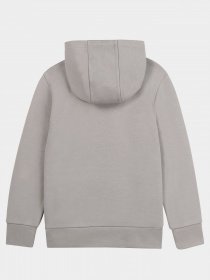 Худи Boss модель J25G65/054 Фото