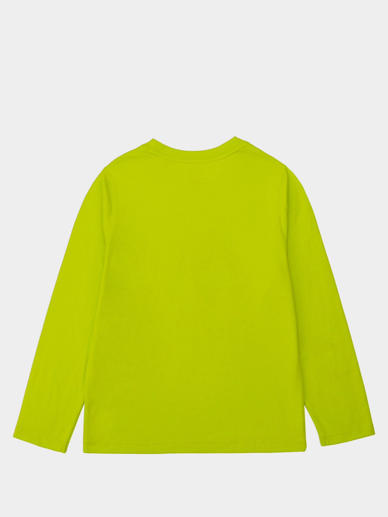 Реглан Timberland Kids модель T25R18/60M Фото