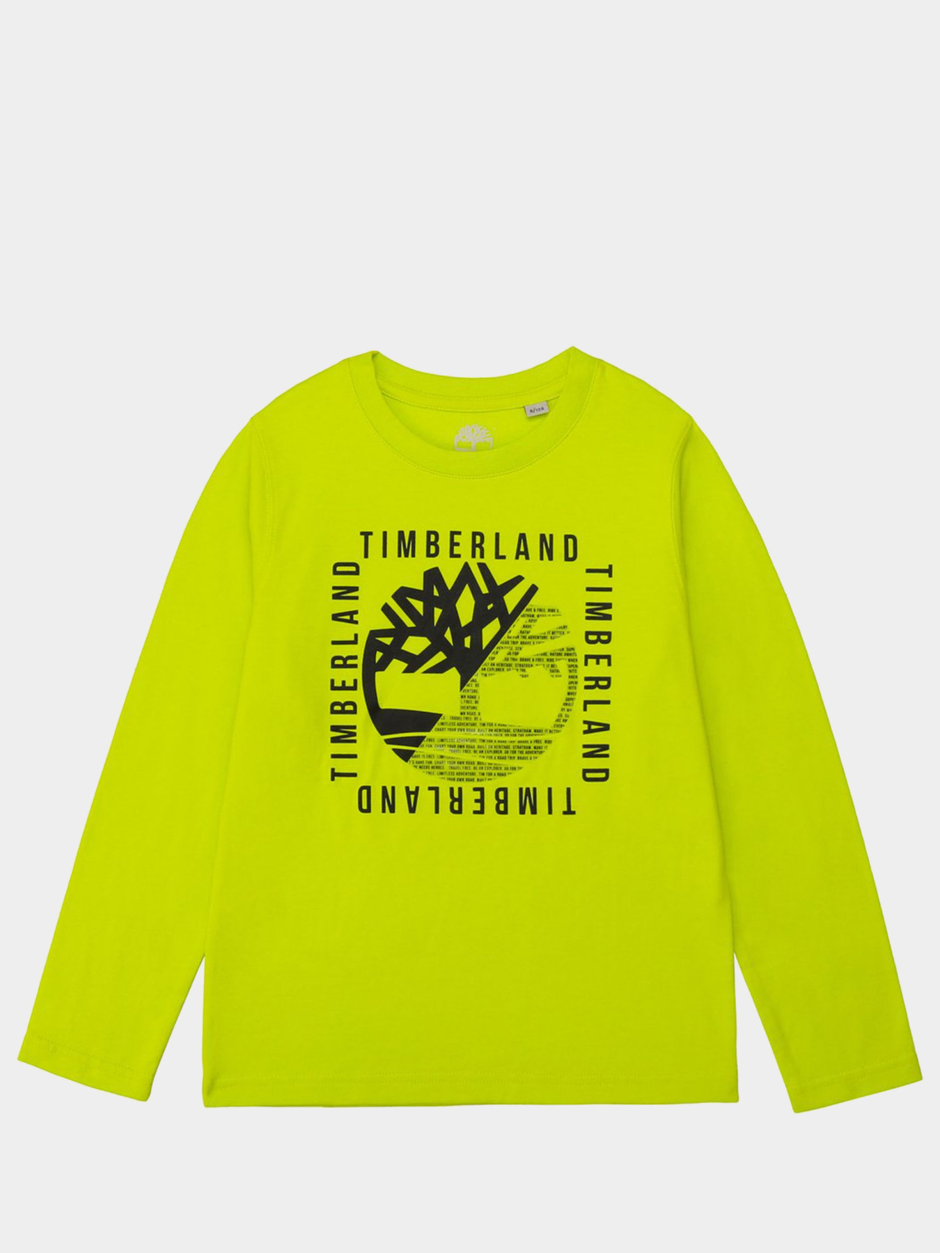 Реглан Timberland Kids модель T25R18/60M Фото