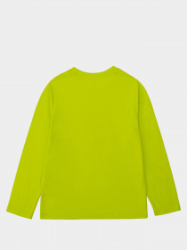 Реглан Timberland Kids модель T25R18/60M Фото