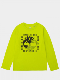 Реглан Timberland Kids модель T25R18/60M Фото