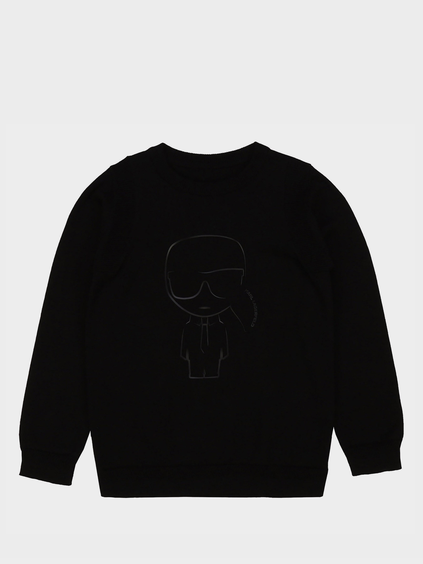 Свитшот Karl Lagerfeld Kids модель Z25259/09B Фото