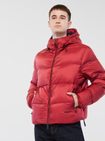 Пуховик Emporio Armani модель 6H1BQ1-1NLUZ-0353 Пуховик Emporio Armani модель 6H1BQ1-1NLUZ-0353 Фото