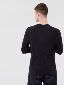 Джемпер Emporio Armani модель 6H1MX1-1MIPZ-0920 Фото