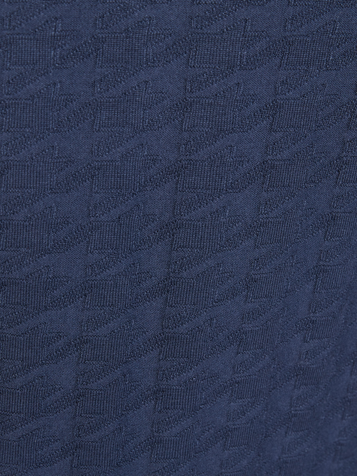 Джемпер Emporio Armani модель 6H1MX7-1MITZ-F936 Фото