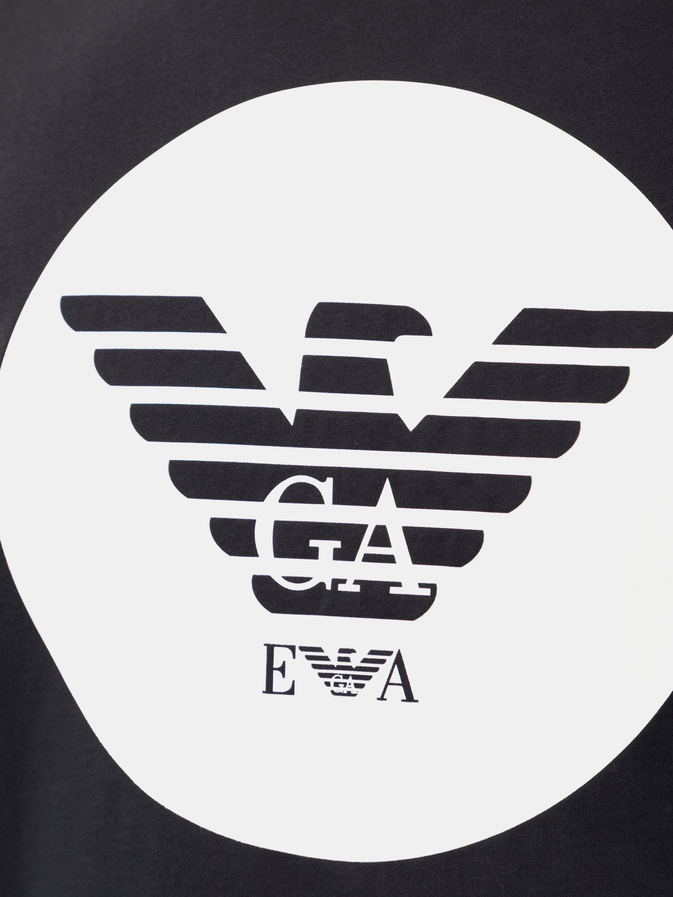 Футболки и поло Emporio Armani модель 6H1T73-1JDXZ-0920 Фото