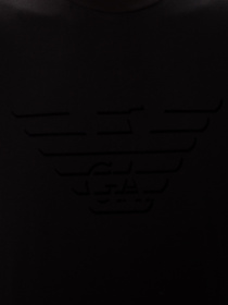 Футболка Emporio Armani модель 6H1TH2-1JDXZ-0999 Фото