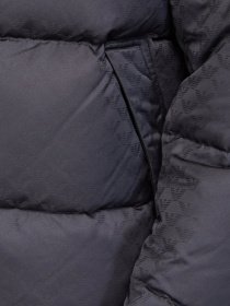 Пуховик Emporio Armani модель 8N1BN3-1NHQZ-F976 Фото