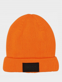 Шапка Boss модель J21222/417 Фото