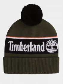 Шапка Timberland Kids Модель T21330/655 Фото