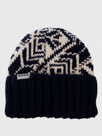 Шапка Napapijri Fori модель NP0A4EOS1761 Фото