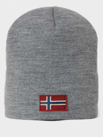 Шапка Napapijri Fira модель NP0A4EYQ1601 Фото