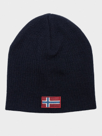 Шапка Napapijri Fira модель NP0A4EYQ1761 Фото