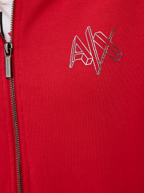 Кофта Armani Exchange модель 6HYM91-YJ3AZ-1469 Фото