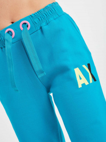 Штаны спортивные Armani Exchange модель 6HYP85-YJ6EZ-9581 Фото