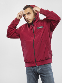 Куртка Napapijri Patch Light модель NP0A4EIIR541 Фото