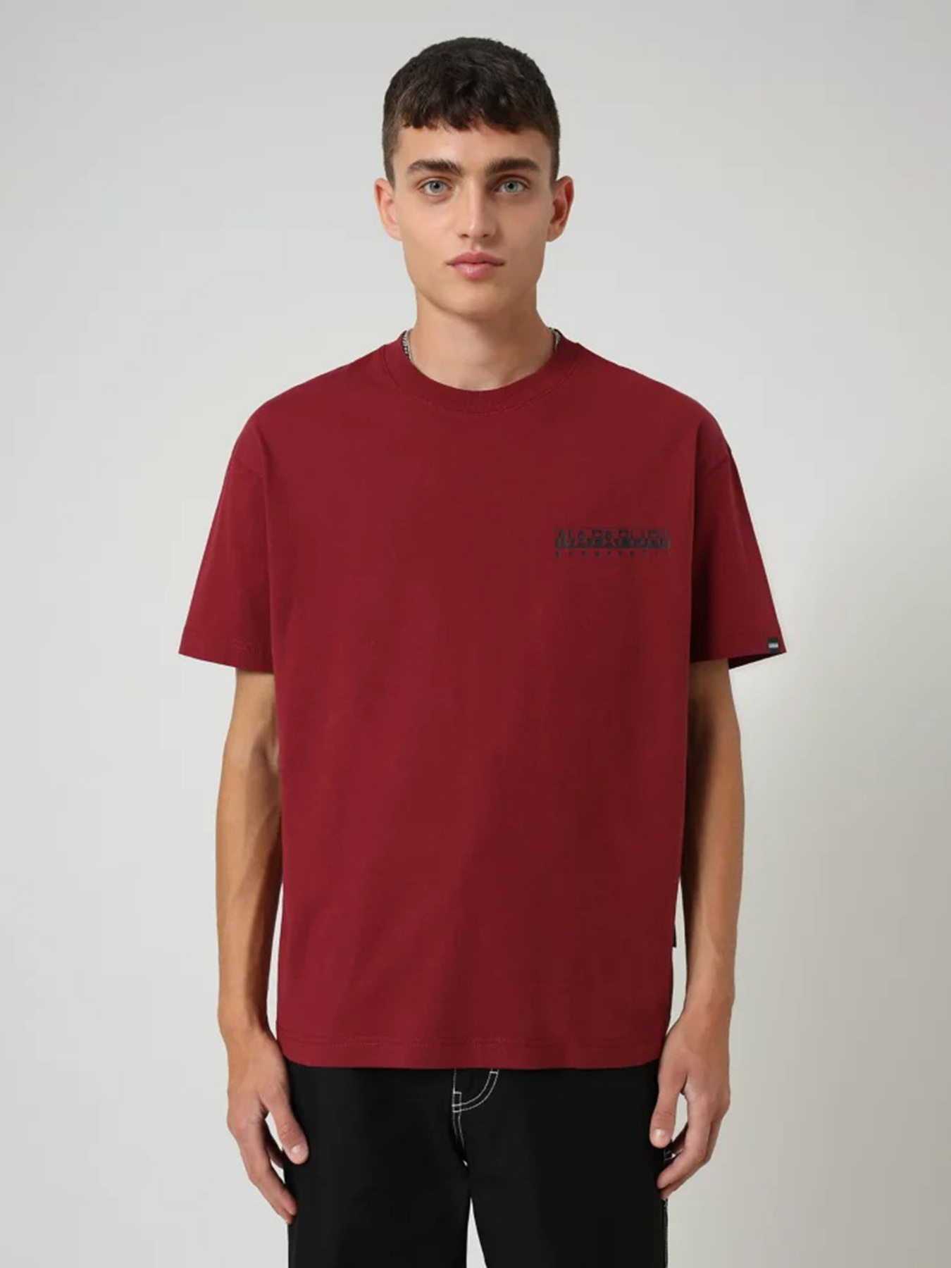 Футболки и поло Napapijri Yoik модель NP0A4EJGR541 Фото