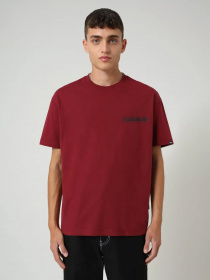 Футболки і поло Napapijri Yoik модель NP0A4EJGR541 Фото