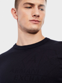 Джемпер Armani Exchange модель 6HZM1A-ZML5Z-1510 Фото