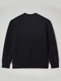 Свитшот Napapijri Oodi модель NP0A4EKT1761 Фото