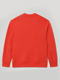 Свитшот Napapijri Oodi модель NP0A4EKTAA51 Фото