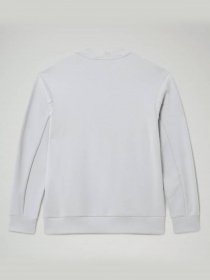 Свитшот Napapijri Oodi модель NP0A4EKTH751 Фото