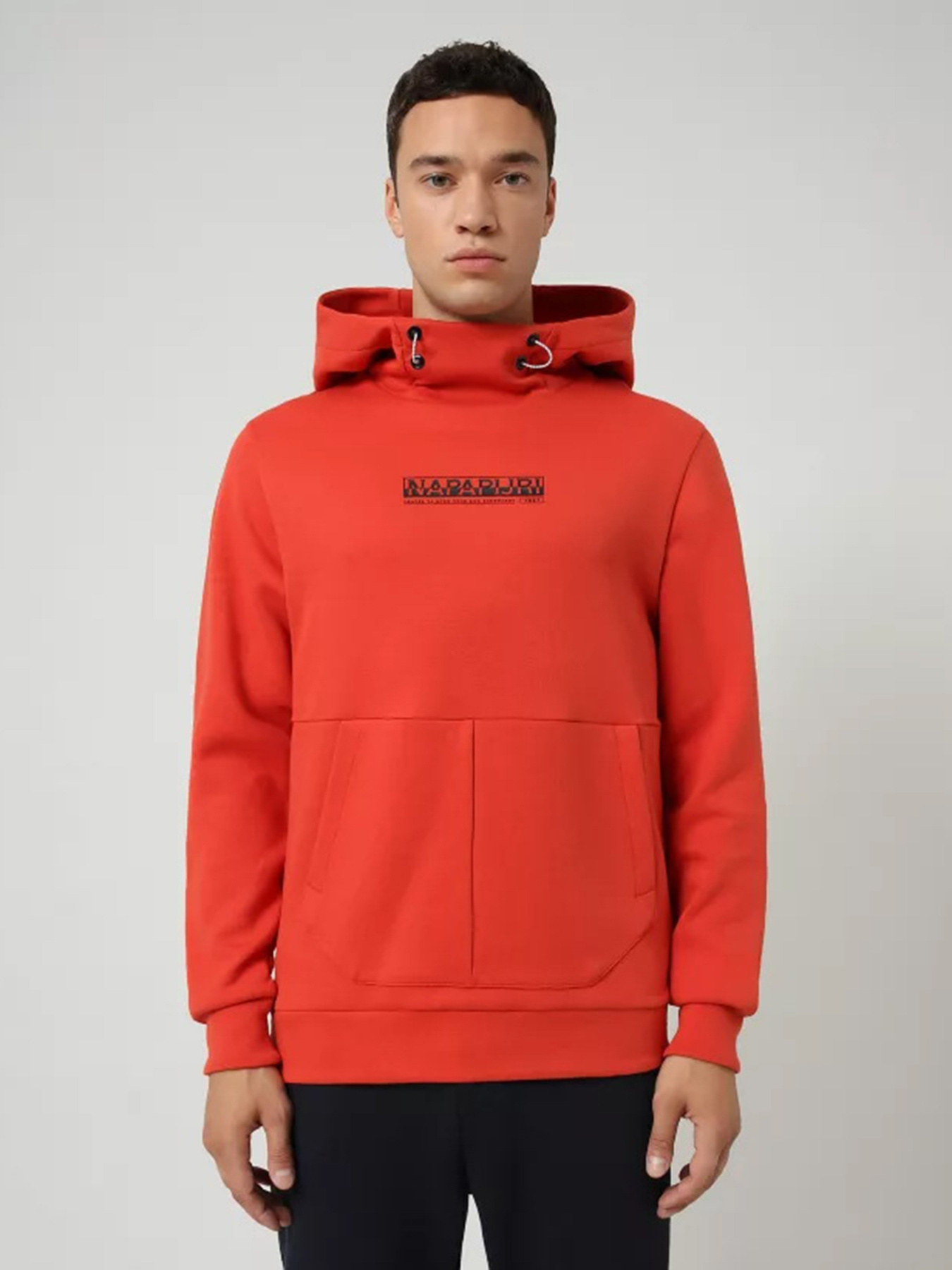 Худи Napapijri Oodi модель NP0A4EL1AA51 Фото