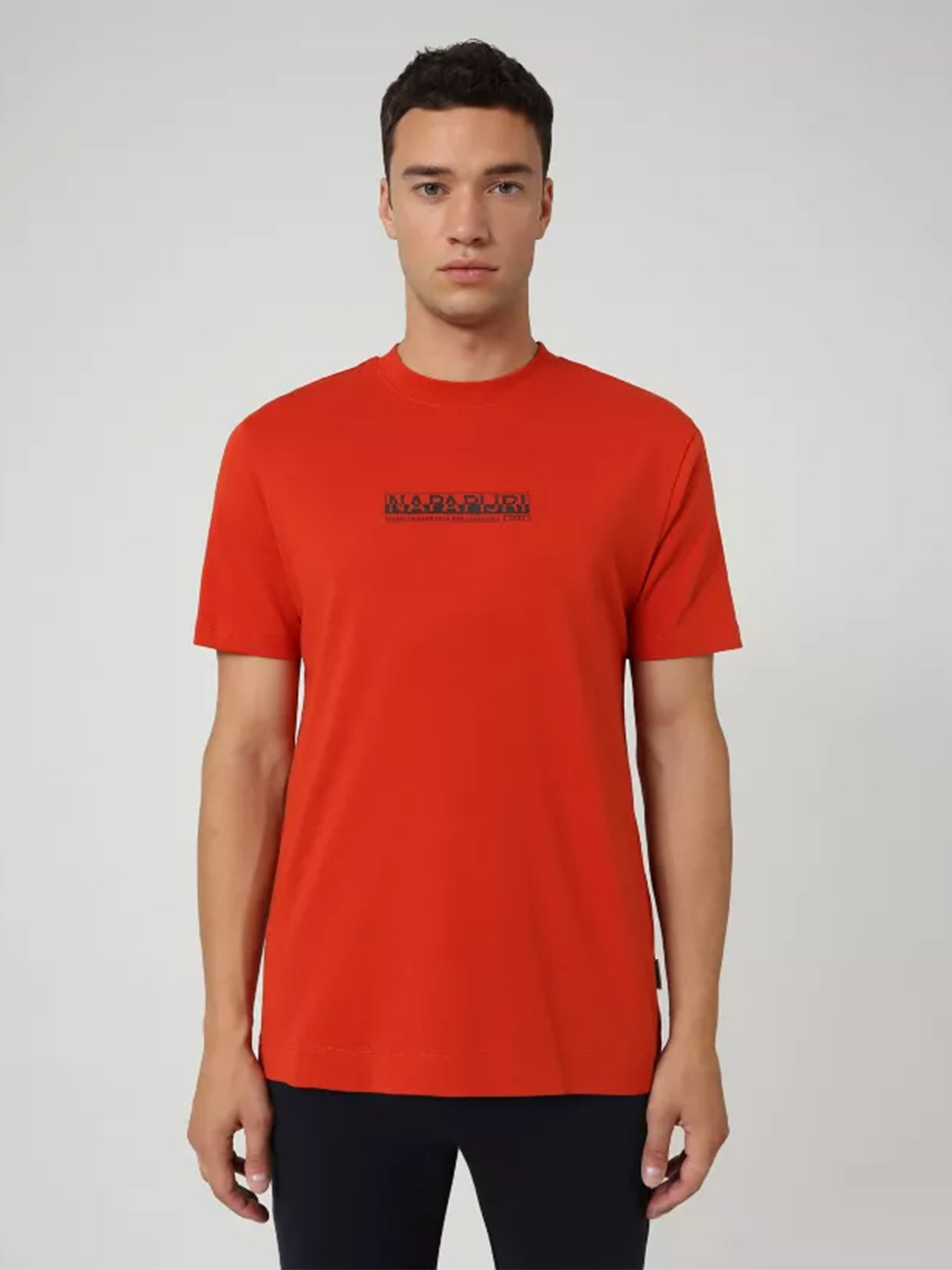 Футболка Napapijri Oodi модель NP0A4EL4AA51 Фото