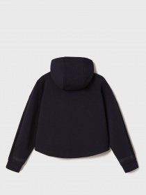 Худі Napapijri B-Oodi модель NP0A4EM11761 Фото