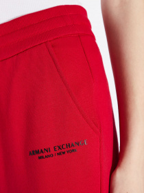 Спортивні штани Armani Exchange модель 8NYPBA-YJE5Z-1469 Фото