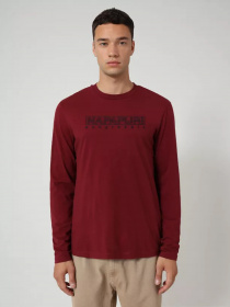 Реглан Napapijri Sebel модель NP0A4EO7R541 Фото