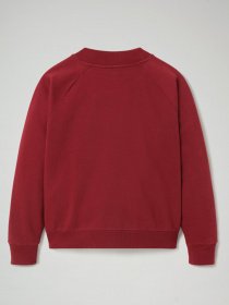 Свитшот Napapijri Bebel модель NP0A4EOGR541 Фото