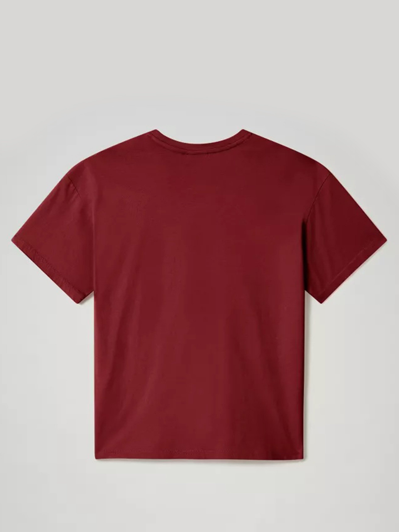 Футболки и поло Napapijri Salis модель NP0A4EYPR541 Фото