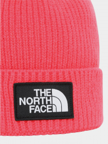 Шапка The North Face Box Logo модель NF0A3FMVR591 Фото