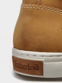 Черевики Timberland Adventure Cupsole модель TB0A1JU1231 Фото