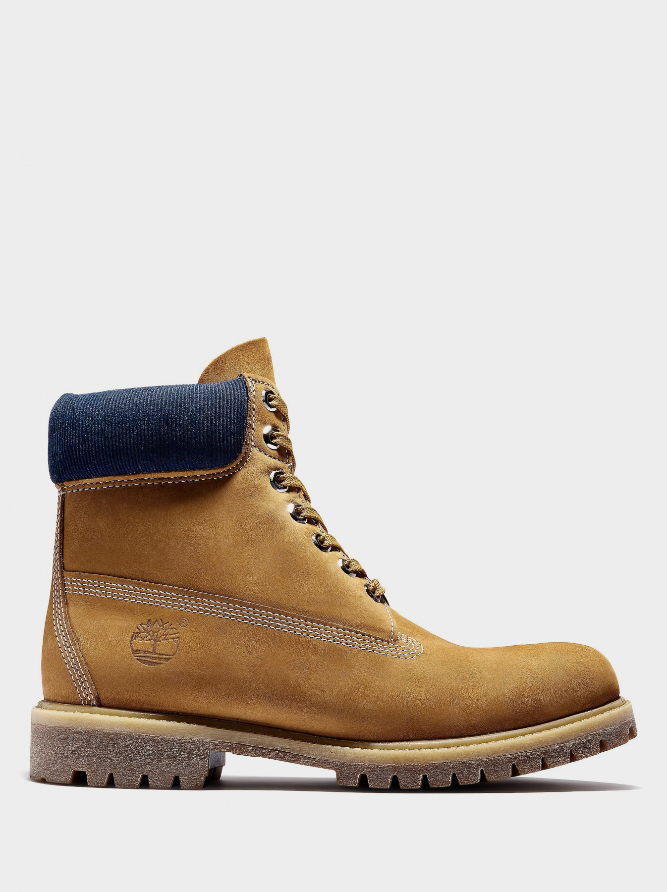 Ботинки Timberland PREMIUM 6-INCH WATERPROOF модель TB0A2DVF231 Фото