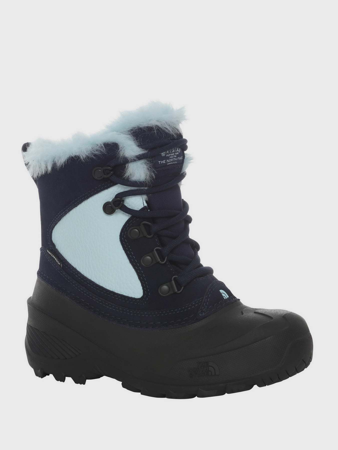 Чоботи The North Face Shellista Extreme модель NF0A2T5VVDA1 Фото