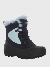 Чоботи The North Face Shellista Extreme модель NF0A2T5VVDA1 Фото
